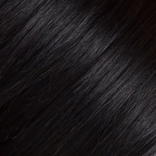 ΕΞΤΕΝΣΙΟΝ 100% ΦΥΣΙΚΗ ΤΡΙΧΑ REMY, ΧΡΩΜΑ 1
